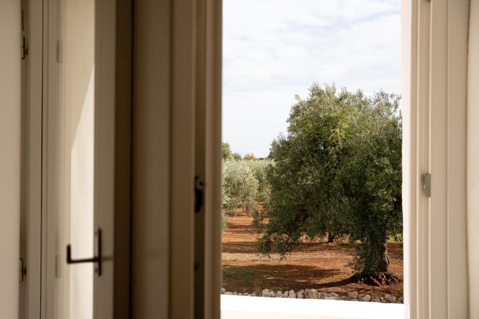 לינה וארוחת בוקר אוסטוני Oltre Gli Ulivi מראה חיצוני תמונה